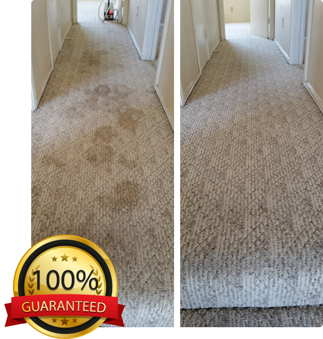 carpet-clean-guarantee-image Guaranteed satisfaction on all carpet cleaning services