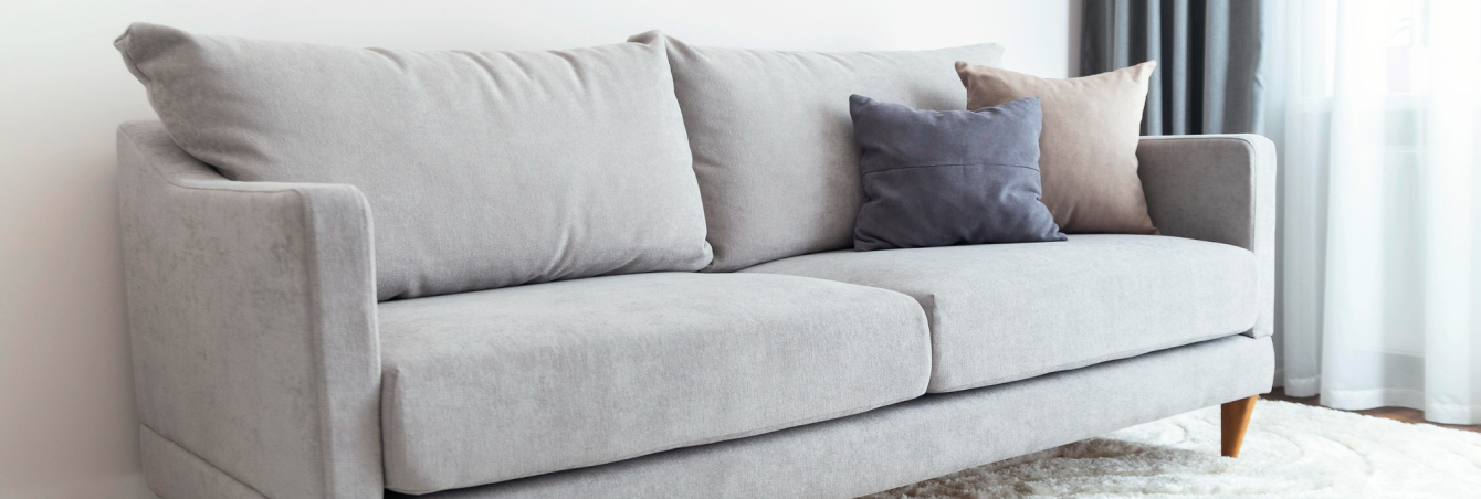 Pet stain and odor removal couch