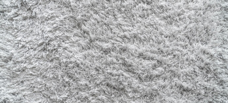 low-moisture carpet cleaning